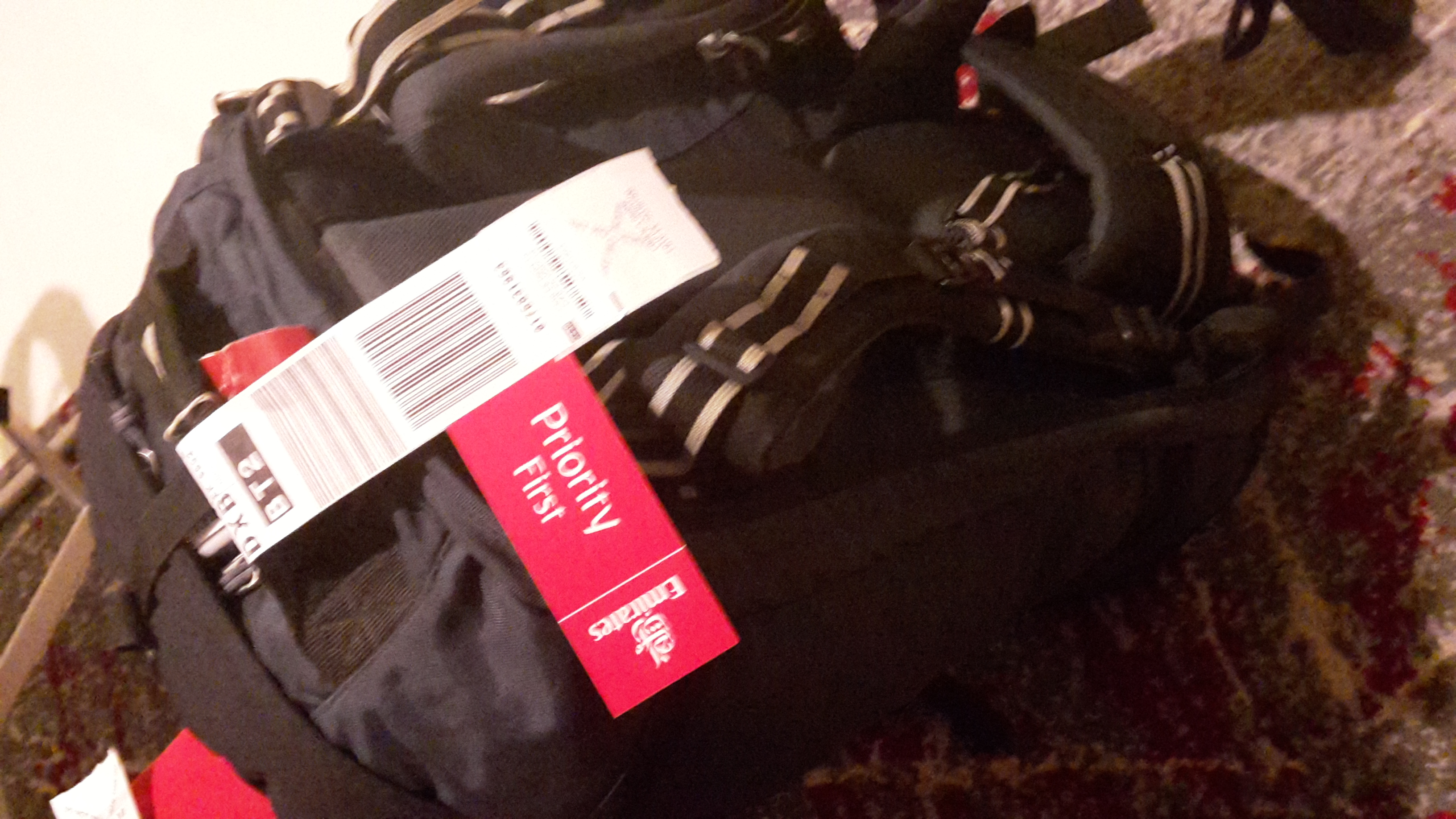 Sri Lanka Colombo backpack with Emirates First tag - Travel Savvy Gal